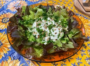 Une photo de Salade feuille de chêne aux pignons de pin, mozzarella et persil