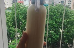 Sữa hạt (Part 1): Sữa đậu xanh cốt dừa