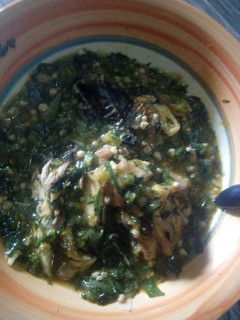 A picture of Okra Soup.