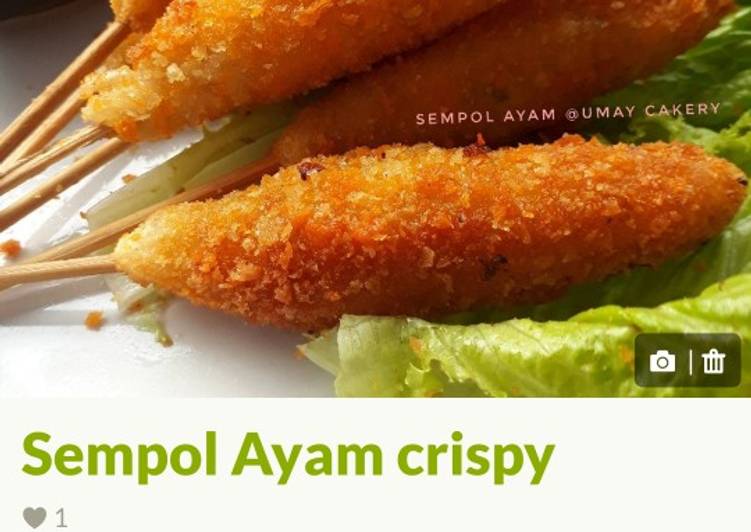Resep Sempol Ayam Crispy Anti Gagal