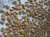 Semillas de zapallo tostadas (snack nutritivo)