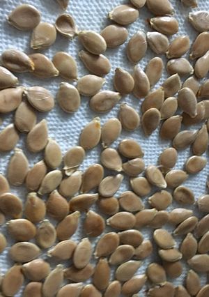 Una foto de Semillas de zapallo tostadas (snack nutritivo)