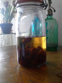 Foto di Liquore di giuggiole fatto in casa