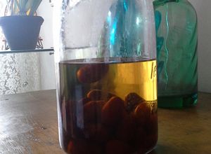 Foto di Liquore di giuggiole fatto in casa