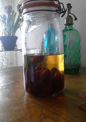 Foto di Liquore di giuggiole fatto in casa