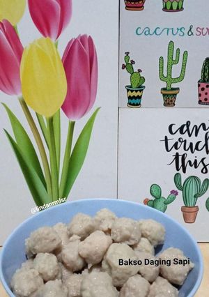 Foto resep Bakso Daging Sapi (anti gagal)