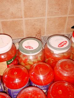 صورة لوصفة مونة لوبية (فاصوليا) خضرا وبندورة بمراطبين