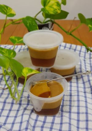 Foto resep Puding Santan Gula Merah