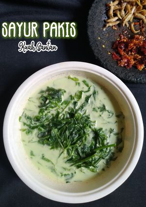 Foto resep 48. Sayur Pakis Kuah Santan