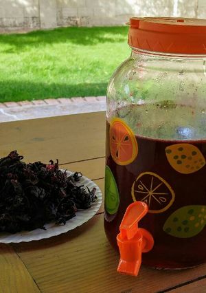 A picture of Agua de Jamaica (Hibiscus Tea).