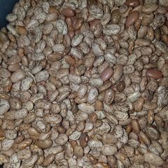 A picture of Instant Pot Pinto Beans.