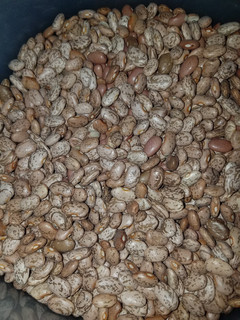 A picture of Instant Pot Pinto Beans.