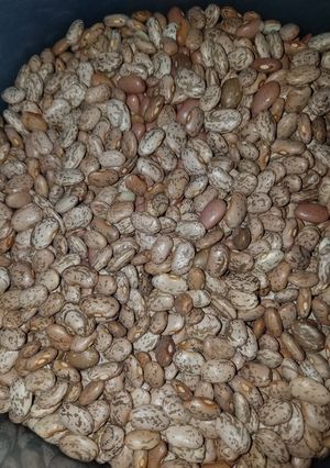 A picture of Instant Pot Pinto Beans.