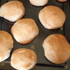 A picture of Buns.