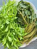Daun Selom & Celur Pucuk Ubi Keledek (Ubi Stelo)|Ulam