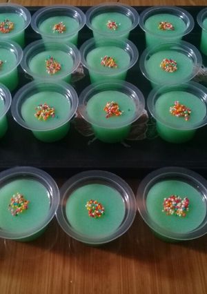 Foto resep Pudding susu springkel