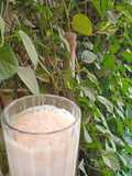 Date and Chikoo Shake