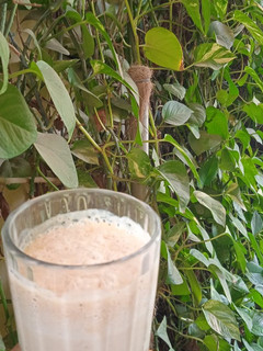 A picture of Date and Chikoo Shake.