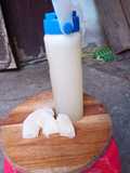 Nước ép bưởi