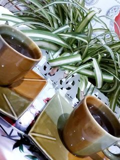 صورة لوصفة تيزانة الزعتر والنعناع