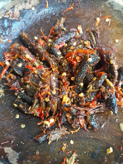 Foto resep Sambel Belut