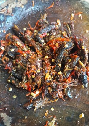 Foto resep Sambel Belut