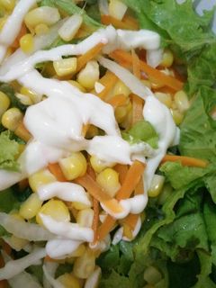 Foto resep Salad sayur (simpel)