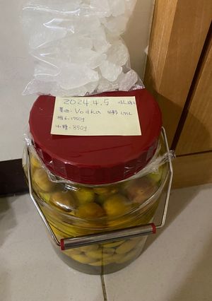 泡梅酒 的食譜成品照片