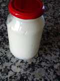 Mayonesa casera-mahonesa