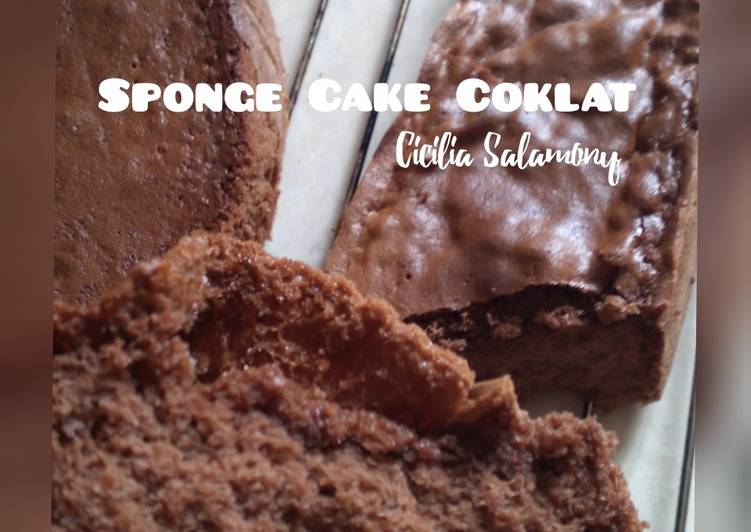 Sponge Cake Coklat