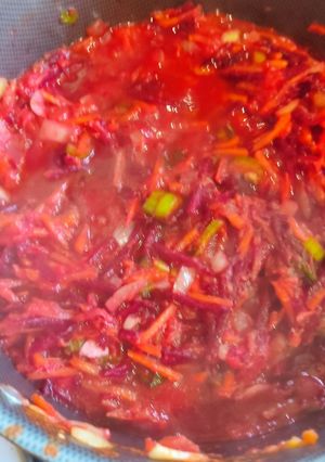 Una foto de BORSCH VEGANO (3)