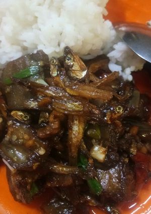 Foto resep Tempe Teri Terong (3T)