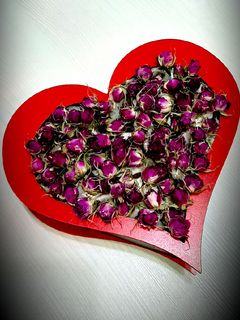 عکسی از دستور خشک کردن غنچه گل محمدی