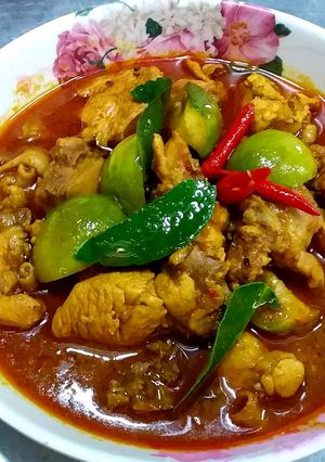 รูปของ แกงพริกไก่ใส่มะเขือเปราะ