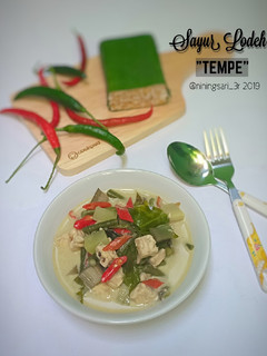 Foto resep Sayur Lodeh Tempe