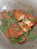 Ikan Tombro Berenang