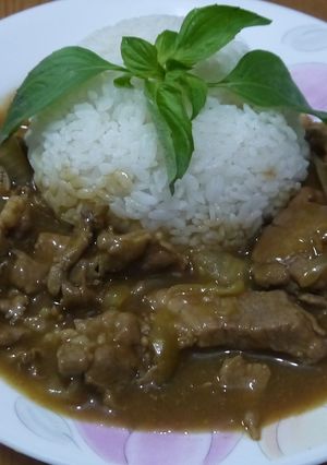 【好侍咖哩】珈哩豬肉飯 的食譜成品照片