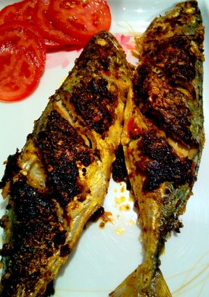 A picture of Grilled Mackerel/Bangda :).