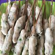 Sempolan ayam
