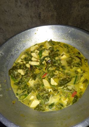 Foto resep Sayur pucuk singkong+tahu kuah santan