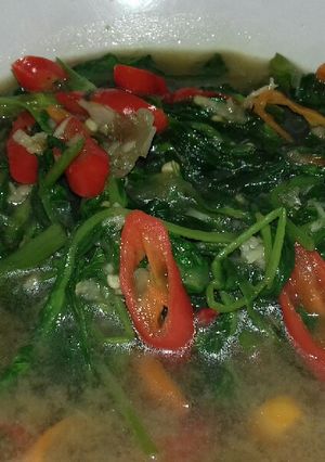 Foto resep Kangkung sederhan biasa saja ala anak kos