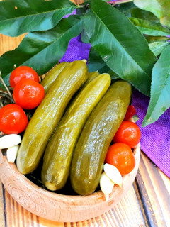 عکسی از دستور خیارشور