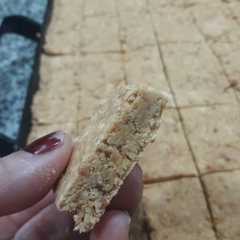 Una foto de Turrón de Maní