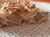 Λαζάνια Stroganoff