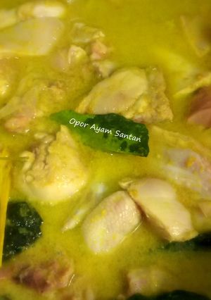 Foto resep Opor Ayam Santan Gurih