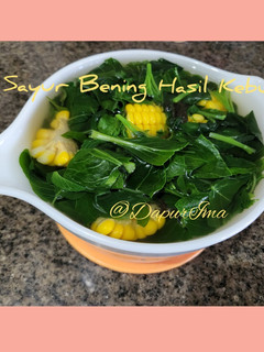 Foto resep Sayur Bening Hasil Kebun