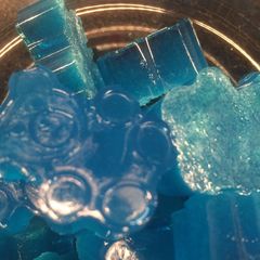 A picture of Gummy Bears.