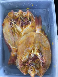 Foto resep Bumbu Ikan Goreng