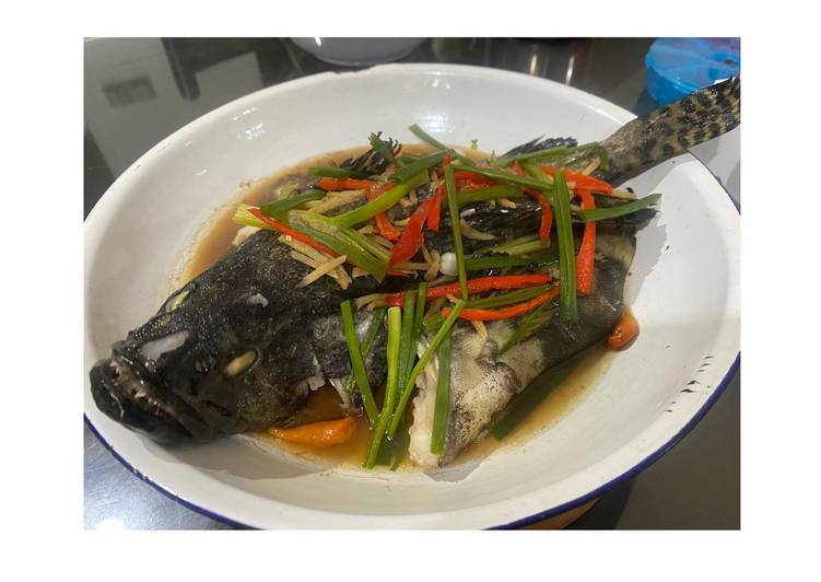 Mudah Cepat Memasak Steam Ikan Kerapu Nikmat Lezat