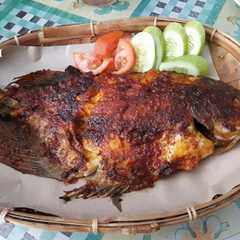 Ikan Gurame Bakar রেসিপির প্রধান ছবি